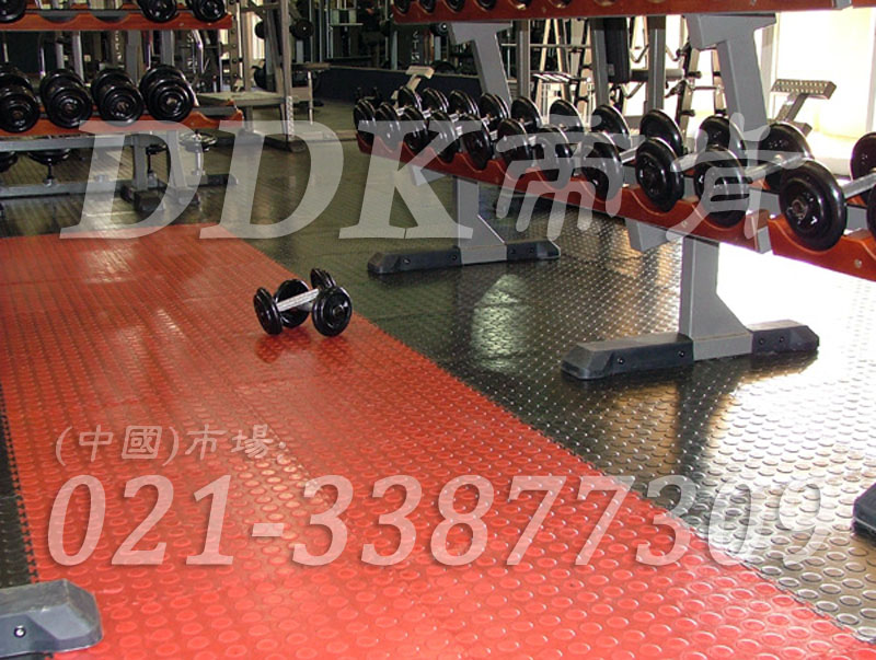 帝肯(DDK)_2000_3020（健身房器器械區(qū)地面鋪裝材料）健身房地毯,健身房地膠,健身房橡膠地板,健身房防震地墊,運(yùn)動(dòng)地墊,運(yùn)動(dòng)地板,運(yùn)動(dòng)地膠,