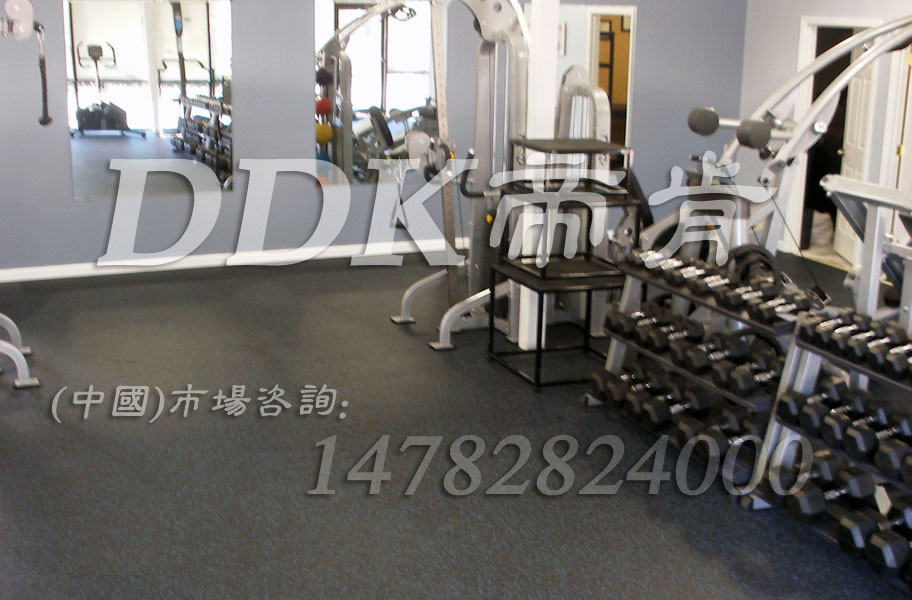 放健身器材用什么墊子?樣板圖片,帝肯(DDK)_S3020_P500(Niki|耐柯)效果圖 放健身器材用什么墊子?樣板圖片,帝肯(DDK)_S3020_P500(Niki|耐柯)效果圖,健身房防震地墊